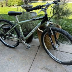 Specialized Mountain Bike