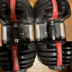 BOWFLEX dumbbells 