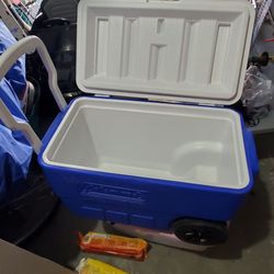 Picnic Outside Ice Cooler