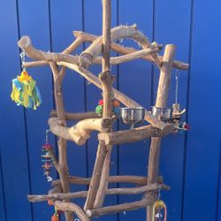 Big Thick Macaw/ Cockatoo Perch Tree - Lots Of Wood Chewing N Socialization For Mr Feathers !!  👍🏼