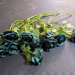 Sacramento Green Roses