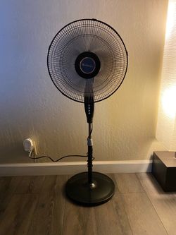 Fan