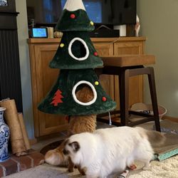Cat Tree With Christmas Design