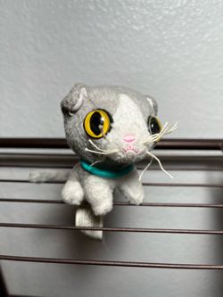 “The CAT “ artist collection