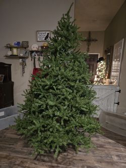 7.5 Ft Christmas Tree No Lights 