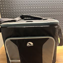 Igloo Cooler Bag