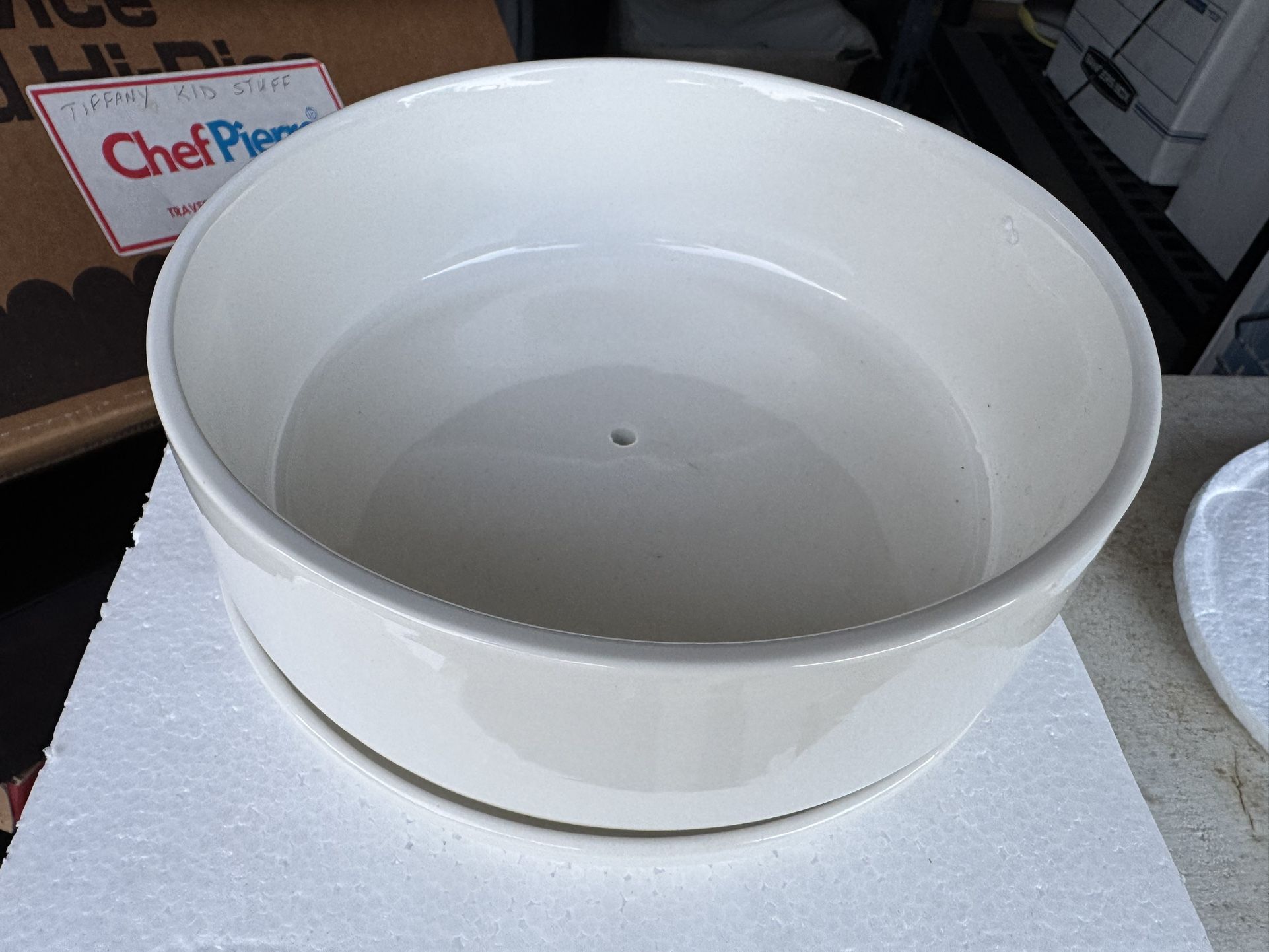 NEW! Succulent Plant Bowl With Dish
