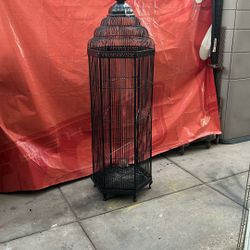  Bird Cage  6’  Tall 