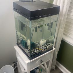 10-Gallon Glass Column Hexagon Aquarium