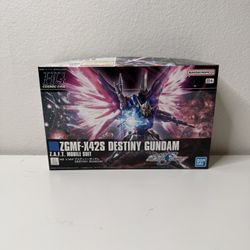 Destiny Gundam HG Model Kit 