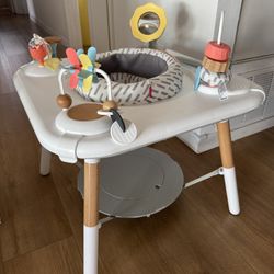 Skip Hop Activity Center