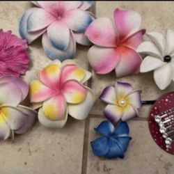 Hawaiian Hair Clips Lot 