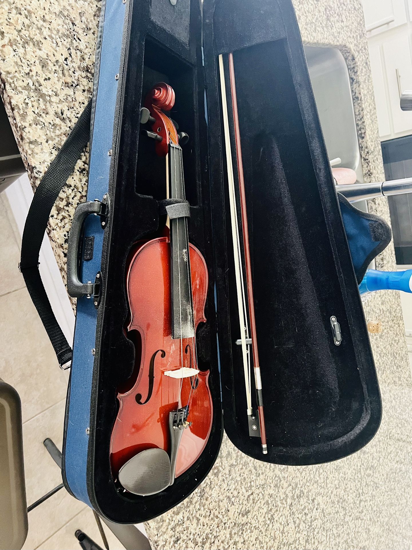 Violin With Case 🎻 