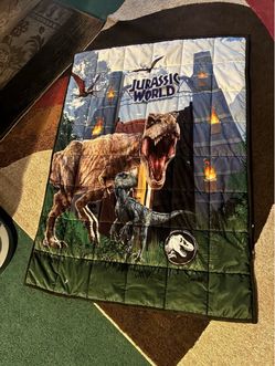 $40-Toddler/small childs weighted jurrasic park quilted blanket- (lightly used ) not sure of the weight on it it does not say on the tag. I got it fo