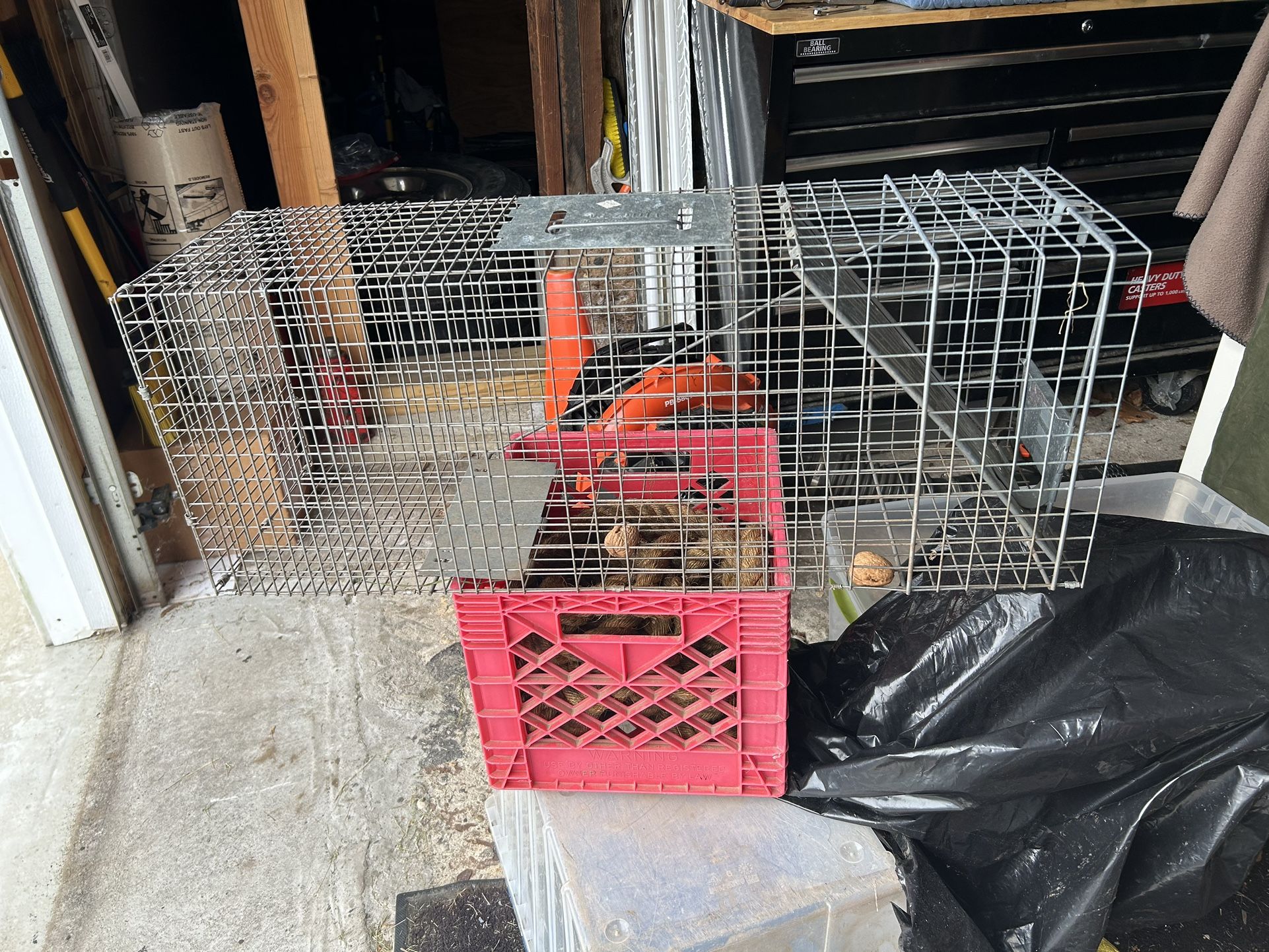 Animal Trap