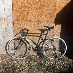 Steel Fixed Gear Bike 53in