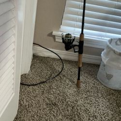 Fishing Rod