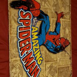 Marvel and DC Comics Metal Panels