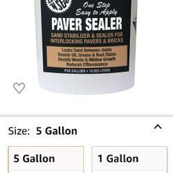Pave N Seal 5 Gallons
