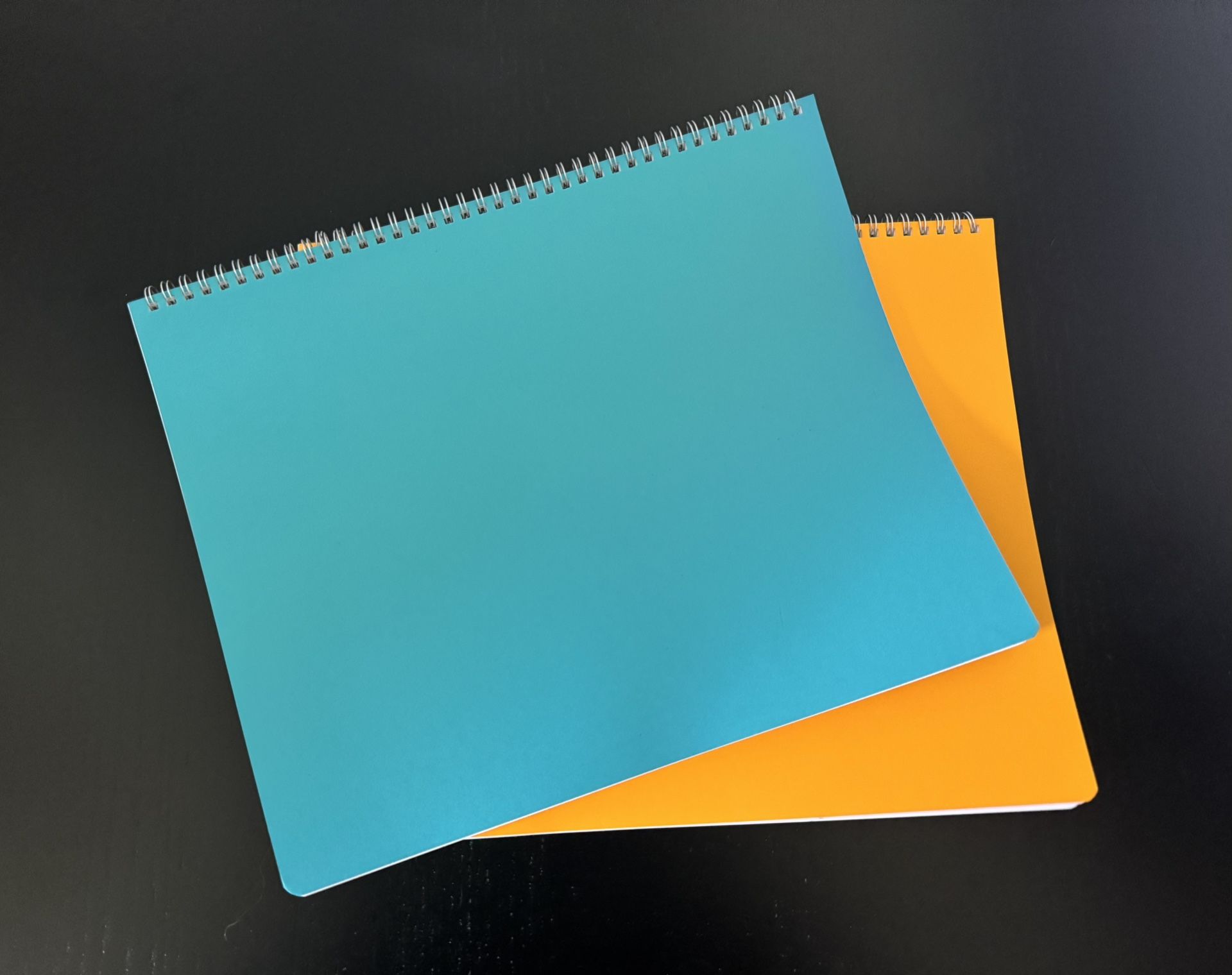 Waldorf Main Lesson Notebooks 11 X 14