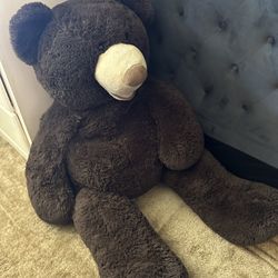 Huge Brown Teddy $20