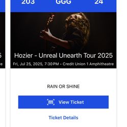 Hozier Concert - 7/25 3 Tickets 