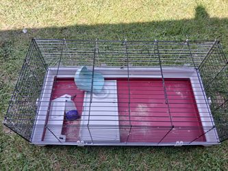 Rabbits cage