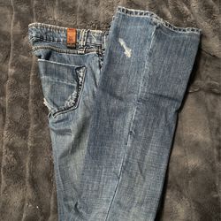 Odyn Regular Embroidered Jeans