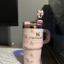 Stanley x Love Shack Fancy Tumbler 20oz Rosa Beaux Pink Holiday Quencher