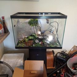 Fish Tank 