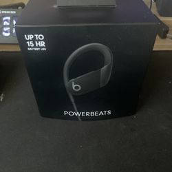 Powerbeats Headphones 