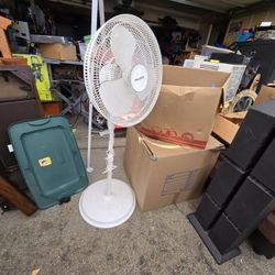 Standing Fan