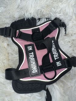 In Training Dog Vest XS