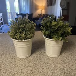 2 Artificial House Plants 