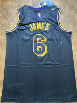 Los Angeles Lakers Nike LeBron James Jersey Youth Size S (8) for Sale in  Los Angeles, CA - OfferUp