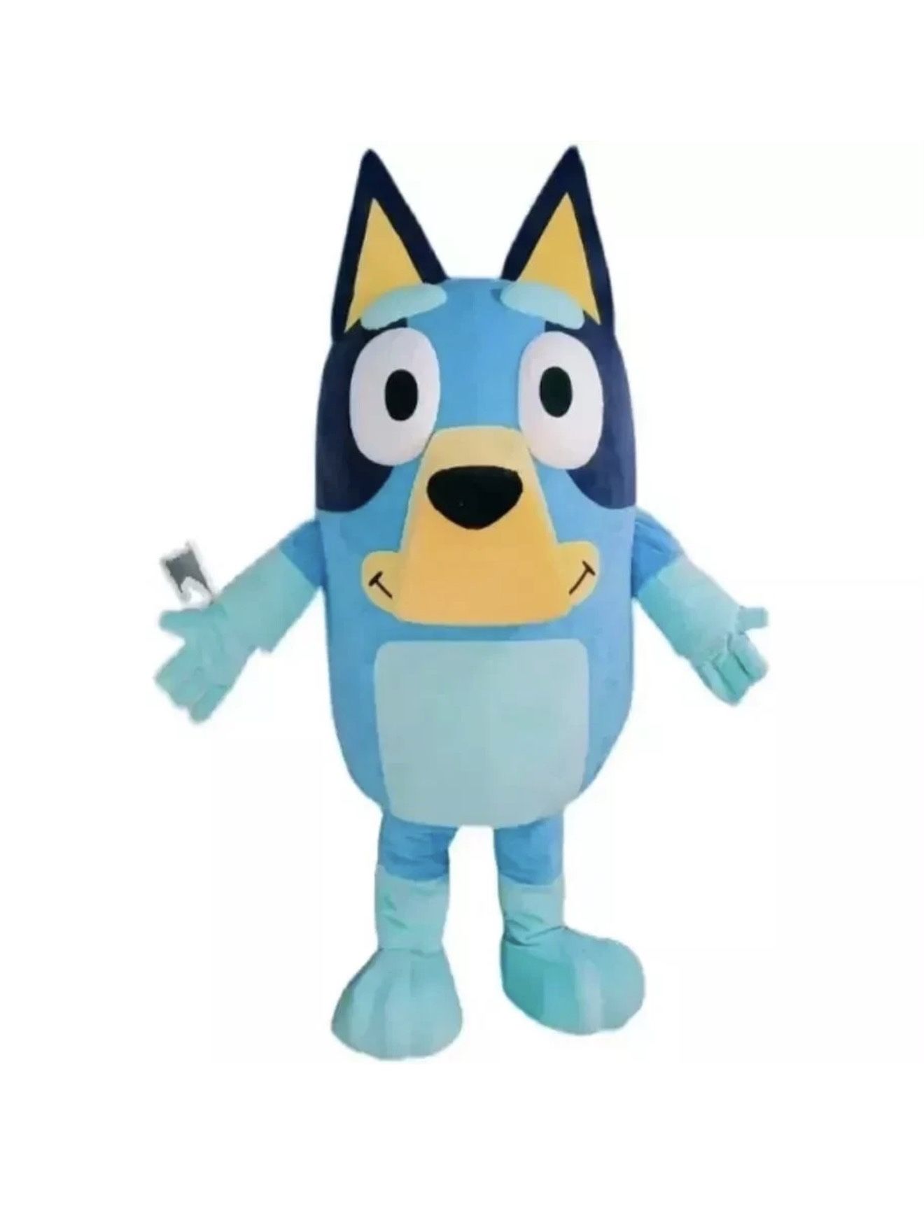 Bluey Mascot Costume – Kids Birthday Party & Halloween Character