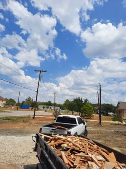 Thrash Removals