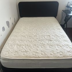 Black Amazon Bed Frane