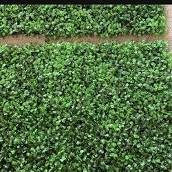 Boxwood Topiary Panels ( Artificial Greenery)