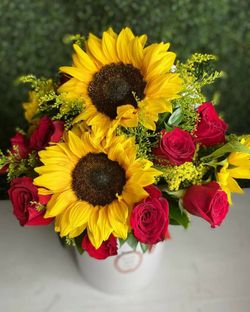Flowers for any occasion