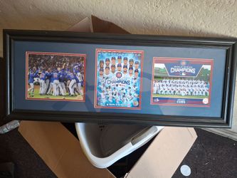 Chicago cubs memobilia will series champs 2016 $100