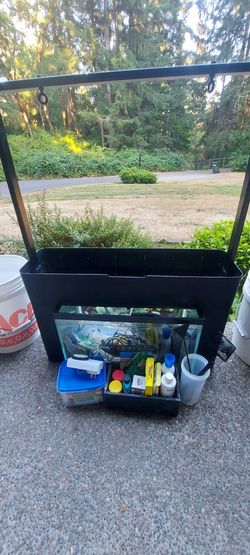 Aquaponics setup w/ 10 gallon tank