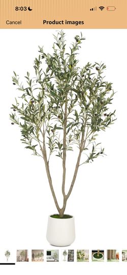 Olive Trees Artificial Indoor, 6FT Tall