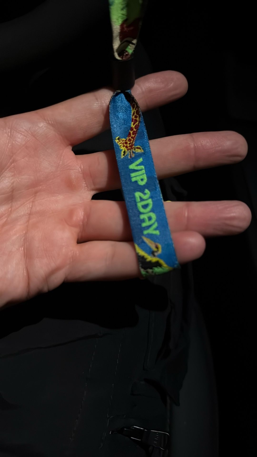 Daytrip Sunday VIP