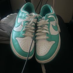 9.5 Men Size Clear Jade Nike Sb Dunks