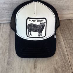 Goorin Bros Snpabck Hat$40