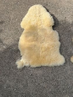 Sheep skin rug
