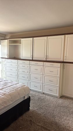 Custom built in shelves