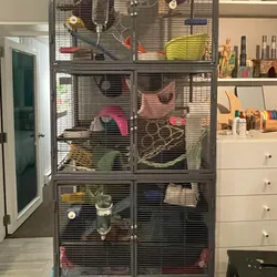 Three Story Critter Nation Cage