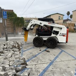 Bobcat S450 $250